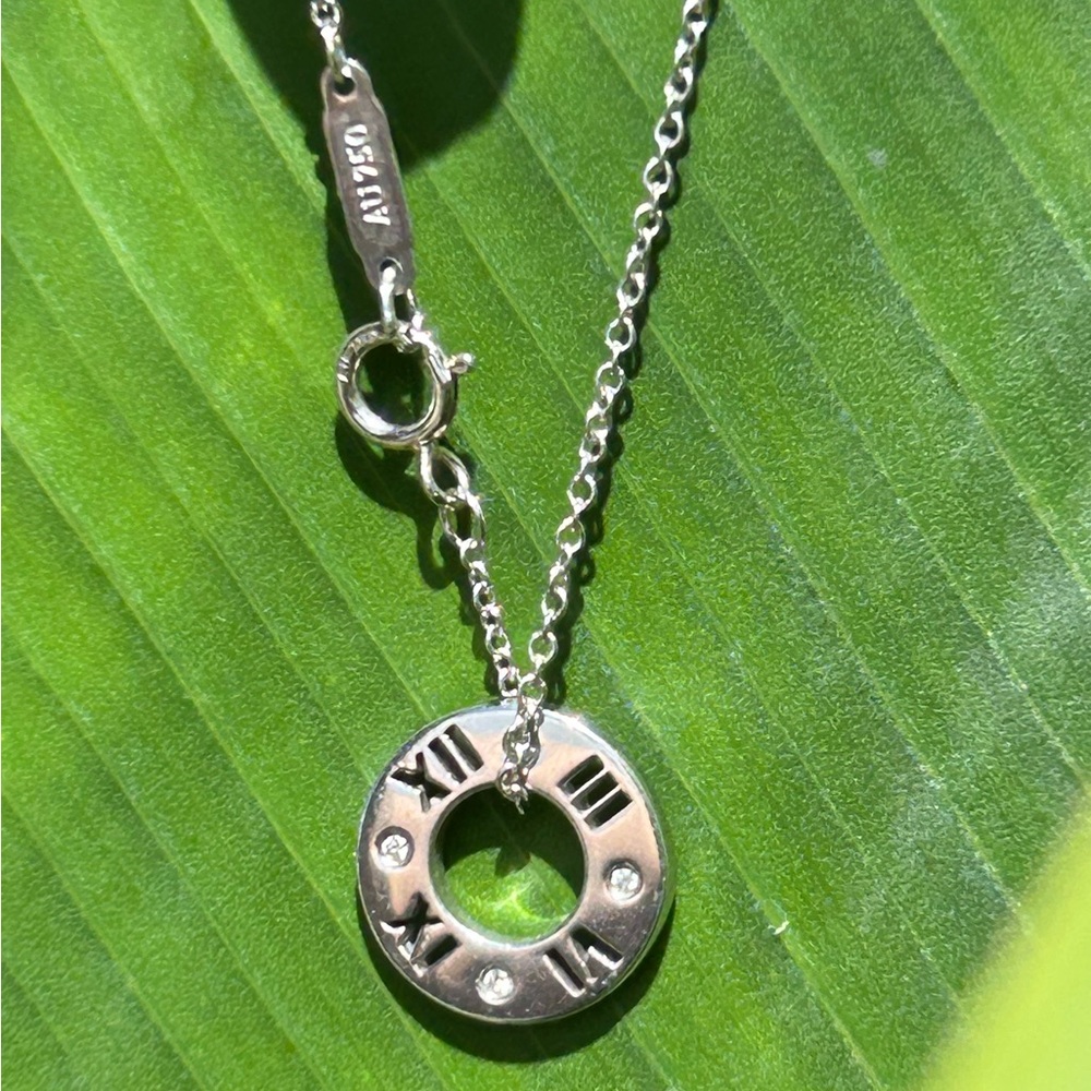 Retired Tiffany & Co. Atlas Circle Diamond Pendant Necklace 18K White Gold 16”